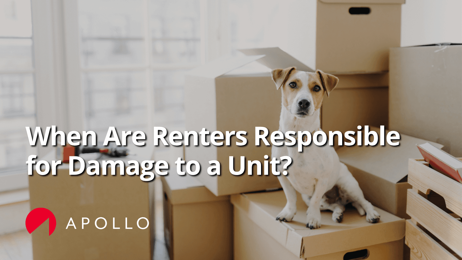 When Are Renters Responsible for Damage to a Unit?