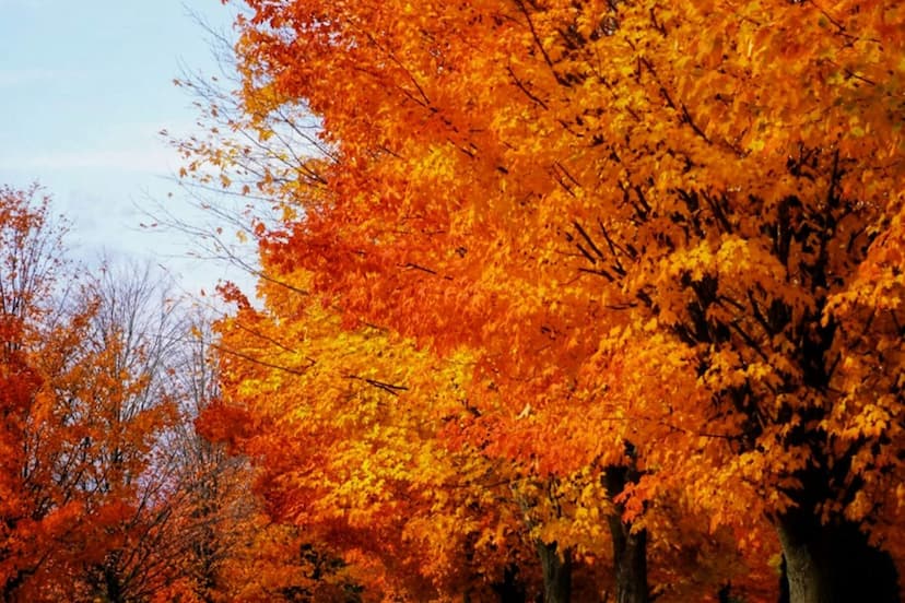 tenant-insurance-ajax-ontario-canada