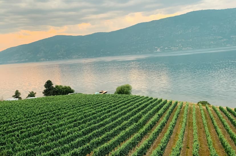 tenant-insurance-kelowna