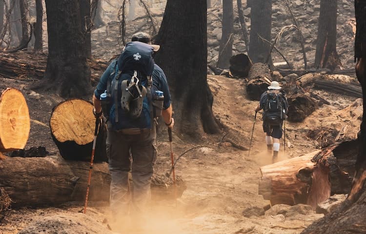 pexels-eric-sanman-1365427 (1).jpg