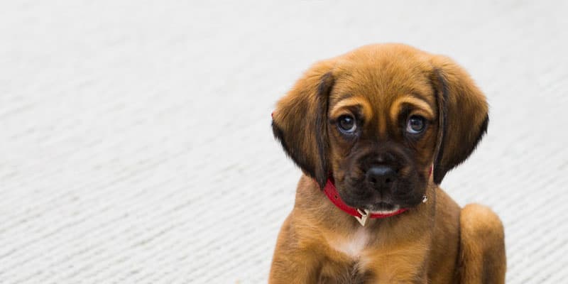 likeability-sales-top