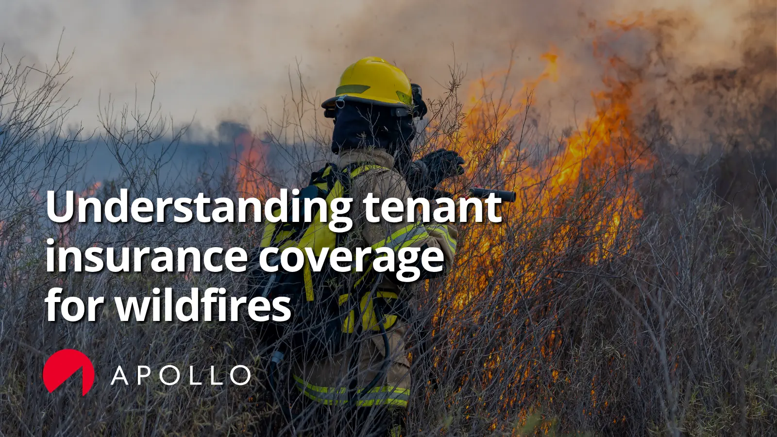 Tenant insurance coverage for a wildfire