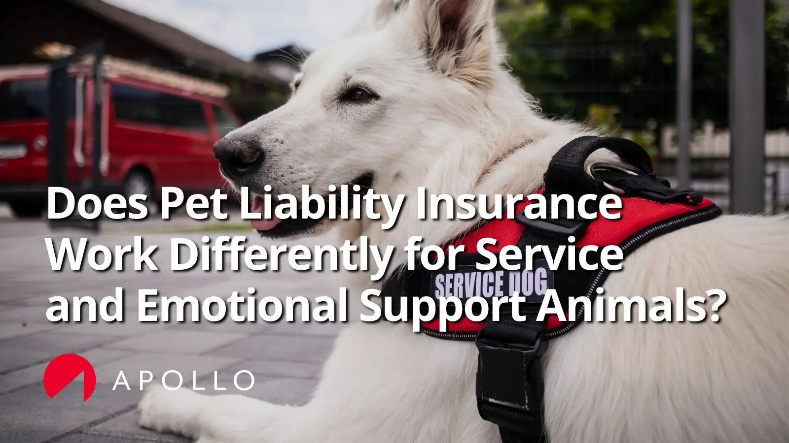 Does pet liability insurance work the same for service animals