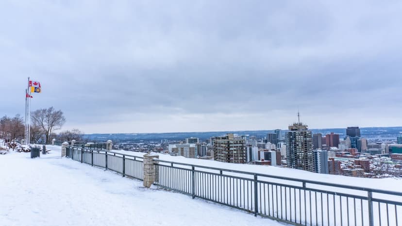 tenant-insurance-hamilton