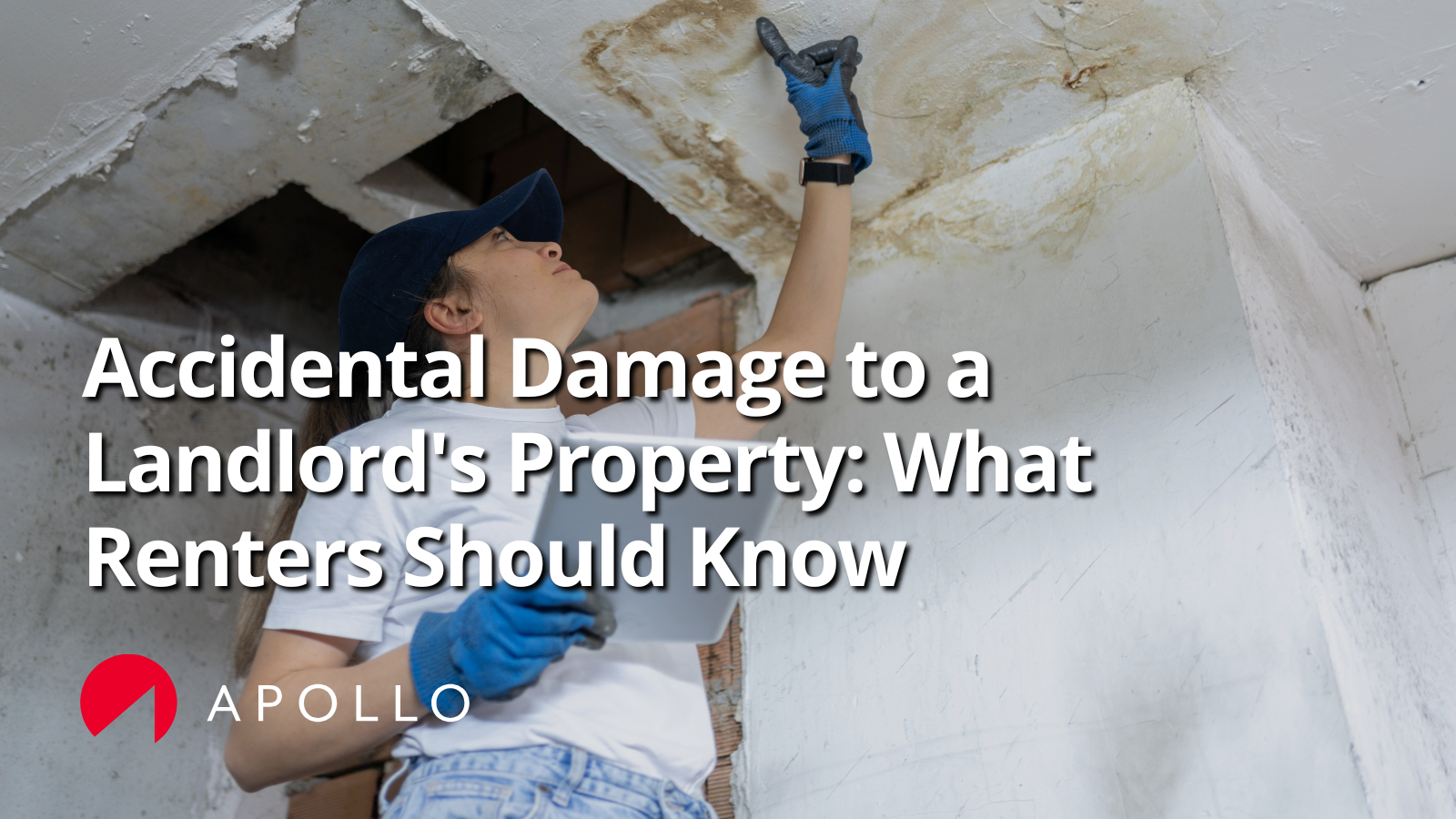 Damage to a landlord's property