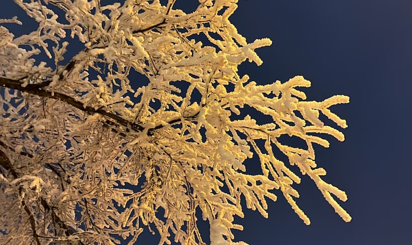 tenant-insurance-grande-prairie-ab