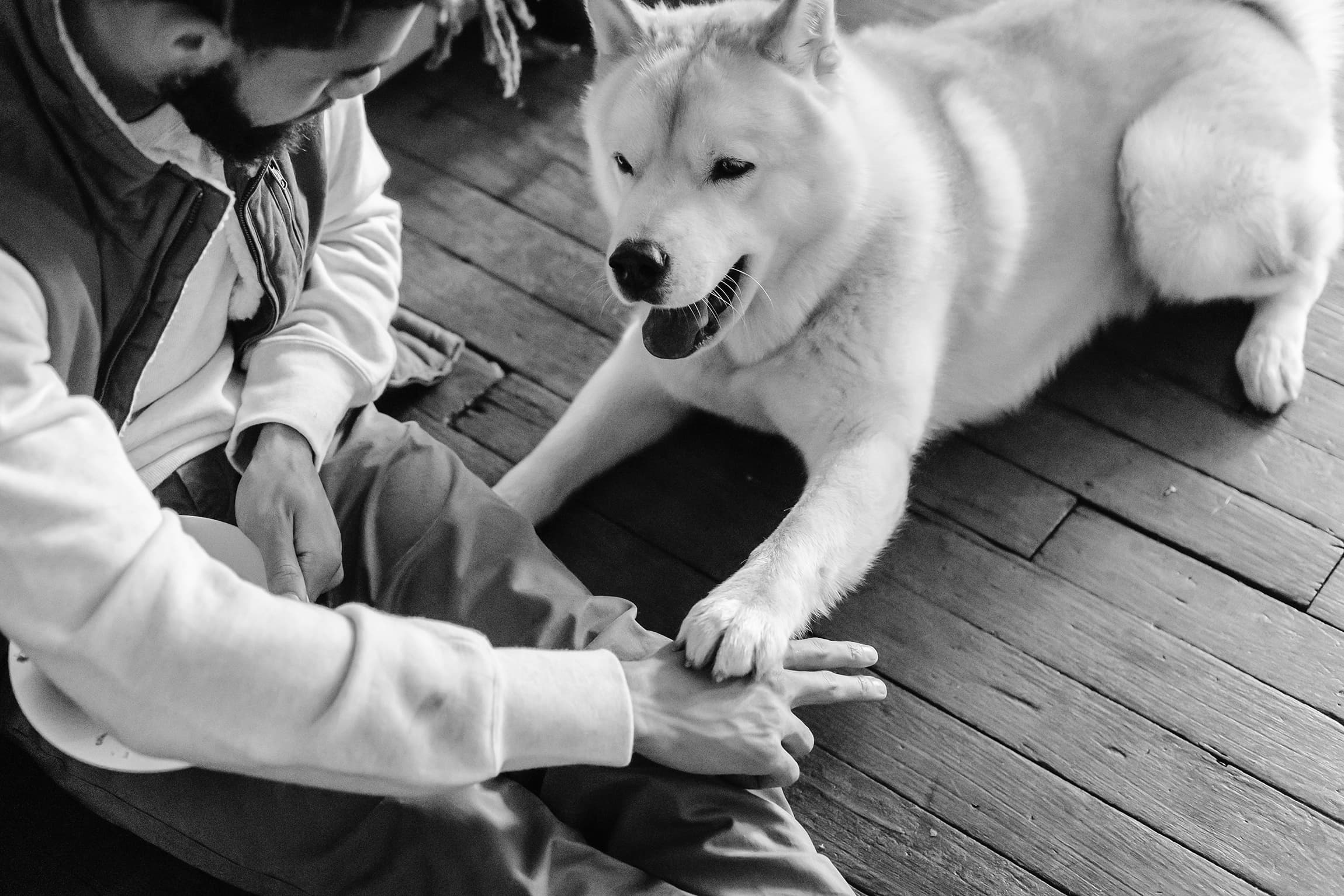pet-services-dog-training-pexels BW