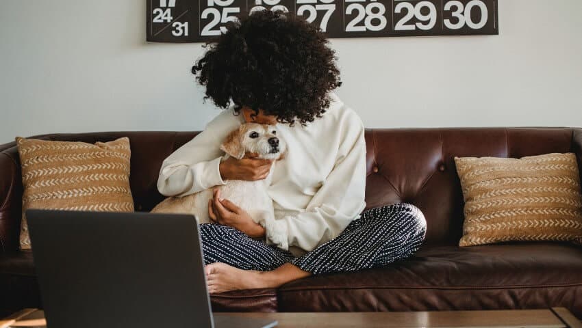 pet friendly apartments to rent canada