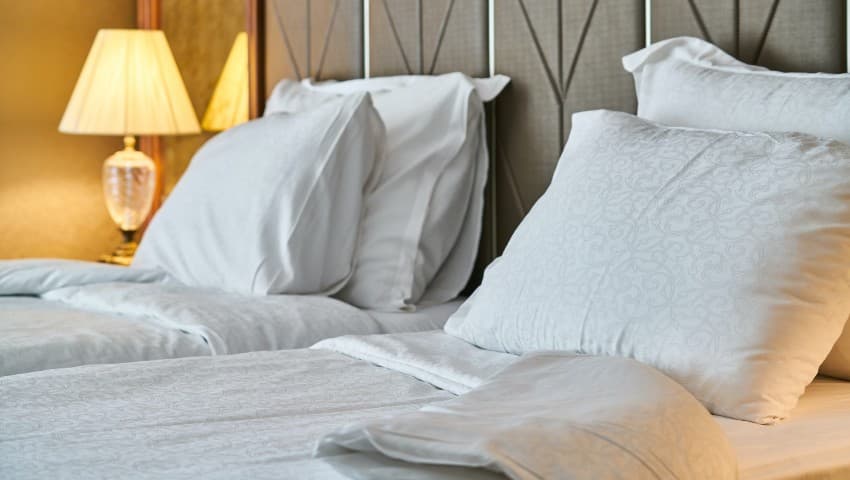 how to prevent bed bugs from spreading canada