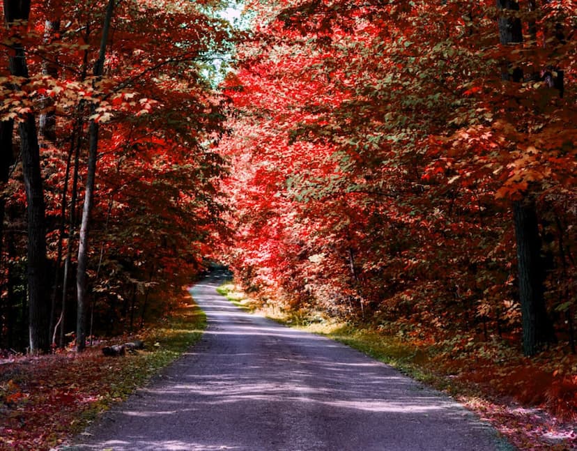 tenant-insurance-Whitchurch Stouffville