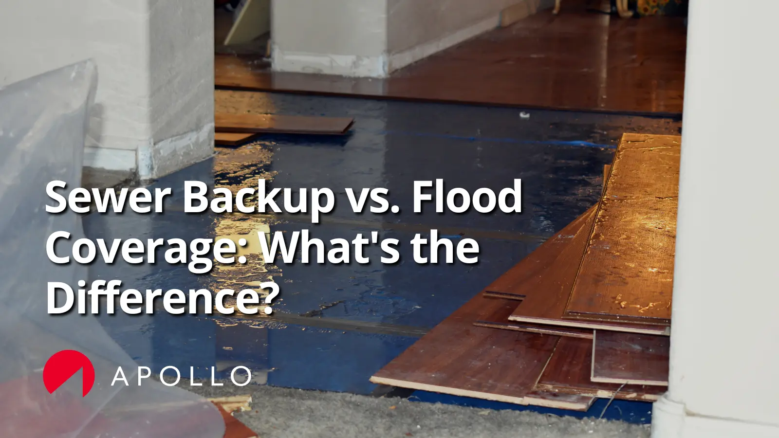 Sewer Backup vs. Flood Coverage