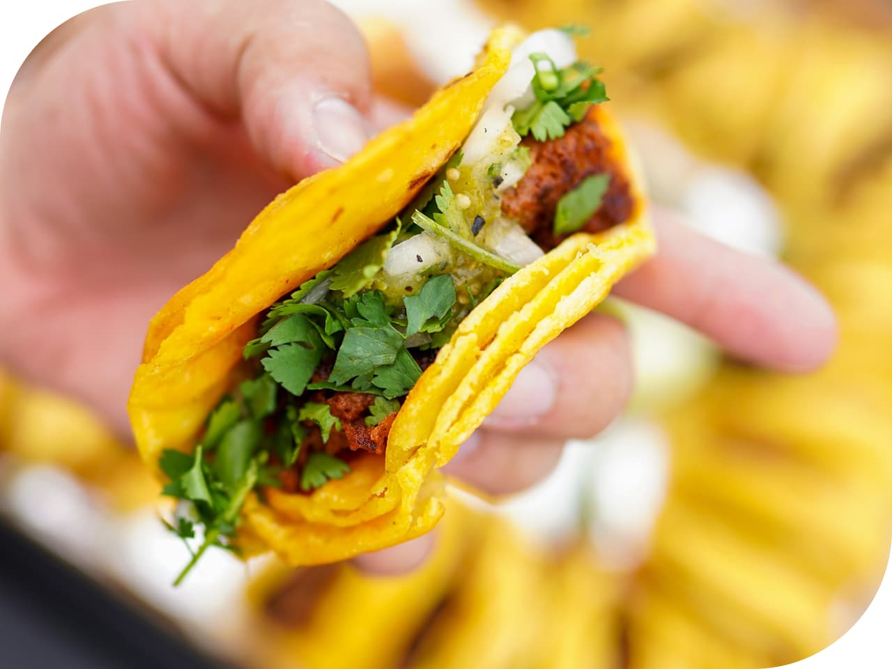 food-truck-owners-are-professionals-2