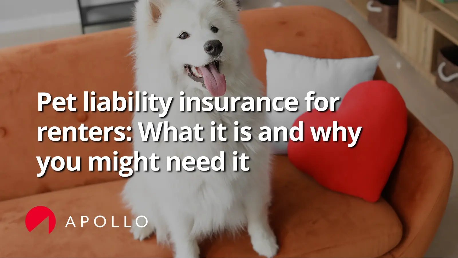Pet Liability Insurance For Renters