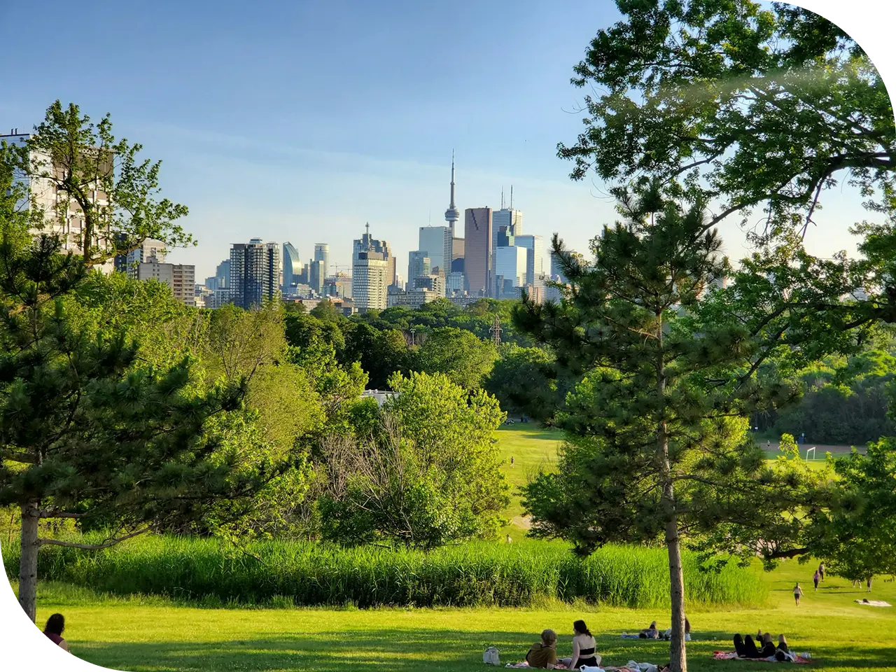 toronto-personal-trainer-summer