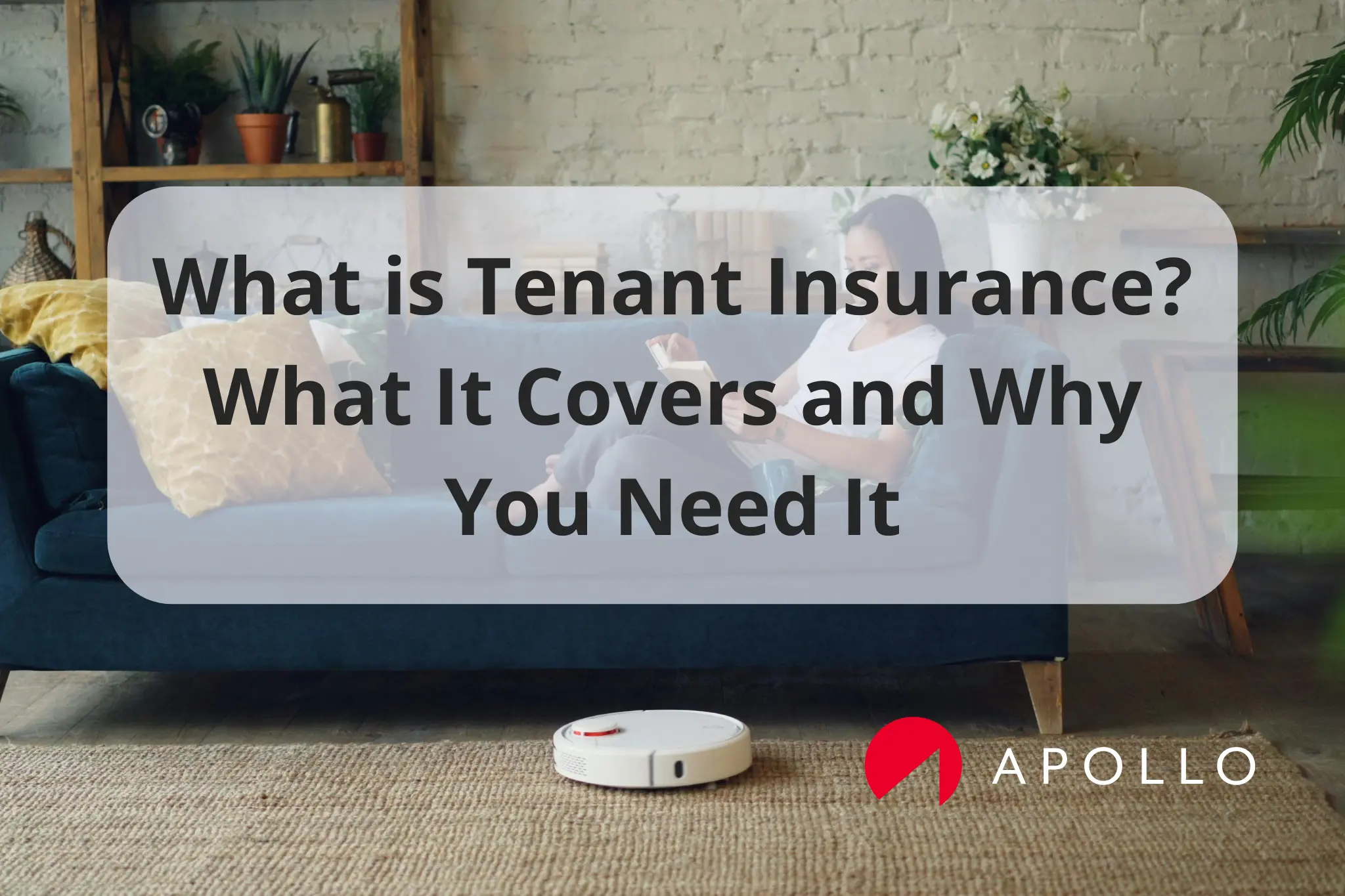 apollo-guide-to-tenant-insurance