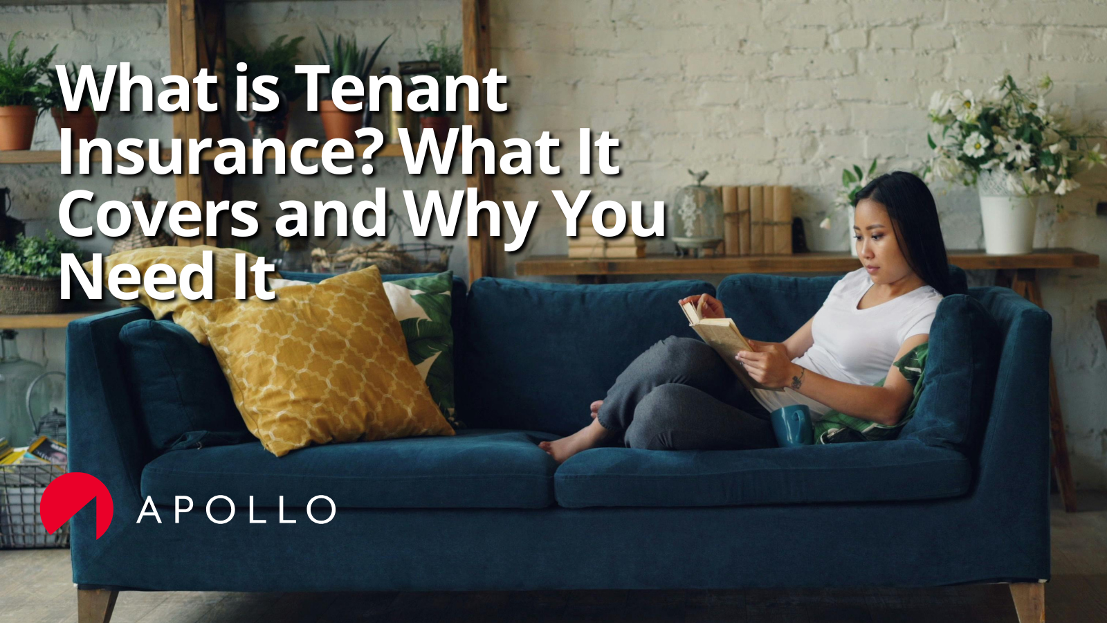 apollo-guide-to-tenant-insurance