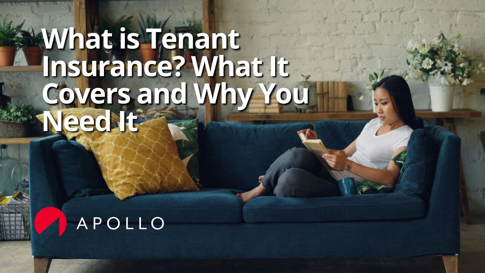 apollo-guide-to-tenant-insurance
