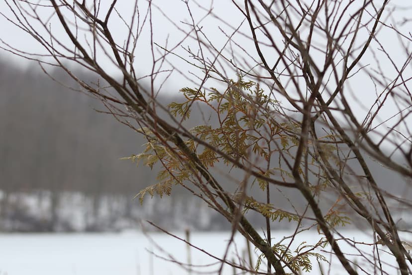 tenant-insurance-caledon-ontario