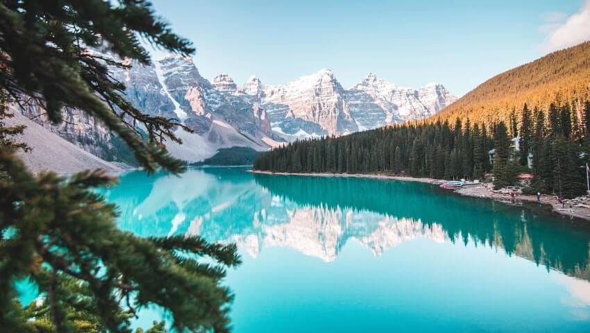 how to start a small business in Alberta Canada